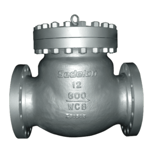 swing check valve